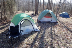 IMG_2026_02_21_11_10_50