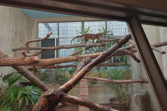 IMG_2024_04_07_11_34_04