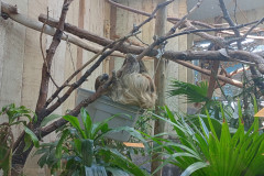 IMG_2024_04_07_11_36_31