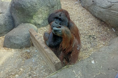 IMG_2024_04_07_15_28_58