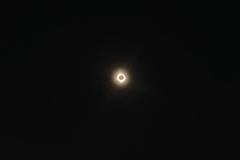 IMG_2024_04_08_15_16_28