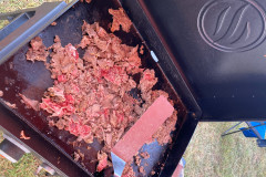 IMG_2025_09_13_17_23_20