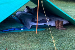 IMG_2025_09_07_07_44_38