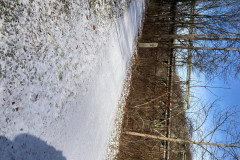 IMG_2025_12_20_11_13_52