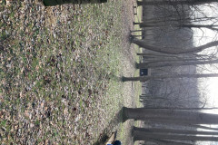 IMG_2025_12_20_13_01_54