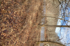 IMG_2025_12_20_13_17_39