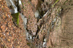 IMG_2025_12_20_15_00_05