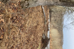 IMG_2025_12_20_15_03_42