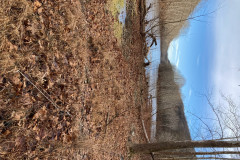 IMG_2025_12_20_15_03_47