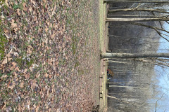 IMG_2025_12_20_15_05_54