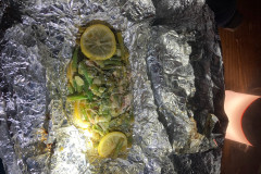 IMG_2025_12_20_17_49_53