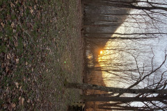 IMG_2025_12_21_07_58_26