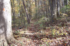 IMG_2025_10_25_10_53_34