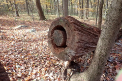 IMG_2025_10_25_11_00_18