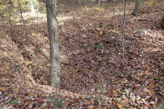 IMG_2025_10_25_11_03_18