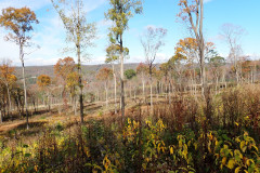 IMG_2025_10_25_11_11_10