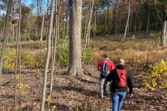 IMG_2025_10_25_11_18_32