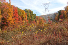 IMG_2025_10_25_11_38_29