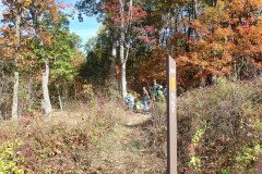 IMG_2025_10_25_11_40_42