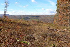 IMG_2025_10_25_11_58_43