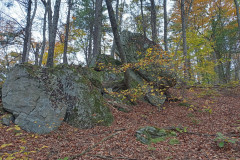 IMG_2025_10_25_13_47_34