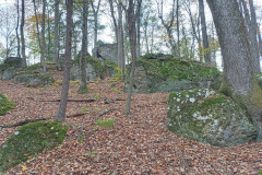 IMG_2025_10_25_13_49_53