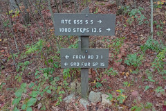 IMG_2025_10_25_14_15_52