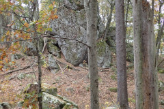 IMG_2025_10_25_14_23_30