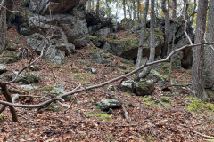 IMG_2025_10_25_14_52_18