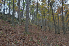 IMG_2025_10_25_14_54_16