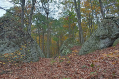 IMG_2025_10_25_15_02_38