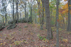 IMG_2025_10_25_15_05_11