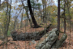 IMG_2025_10_25_15_09_18