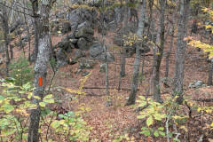 IMG_2025_10_25_15_10_10