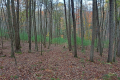 IMG_2025_10_25_15_16_00