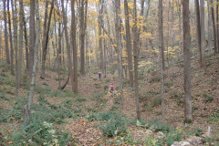 IMG_2025_10_25_15_52_25