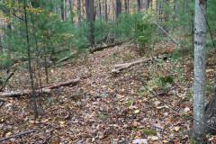 IMG_2025_10_25_16_27_00