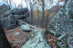 IMG_2025_10_25_18_13_14